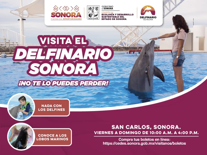 becas